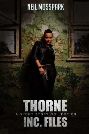 Book cover of The Thorne Inc. Files