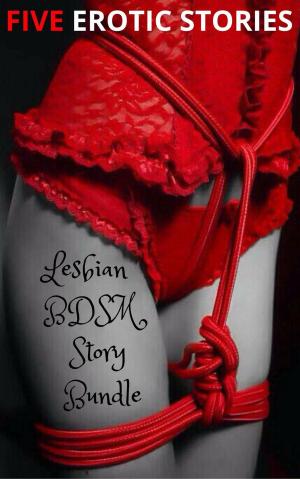 Cover of the book Lesbian BDSM Story Bundle by Giles Rokeby