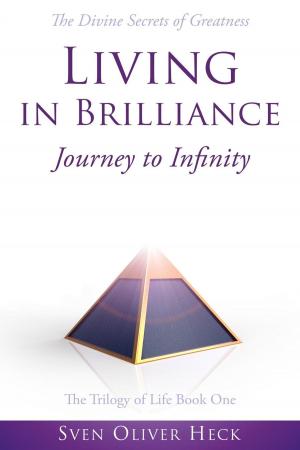 Cover of Living in Brilliance - Journey to Infinity