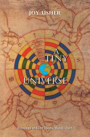 Cover of the book A Tiny Universe by Andrew L. Bozeman