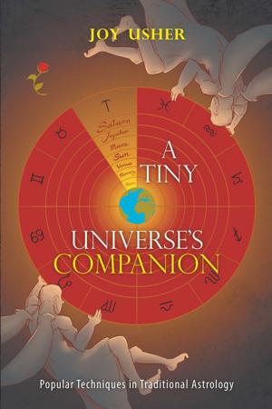 bigCover of the book A Tiny Universe’S Companion by 