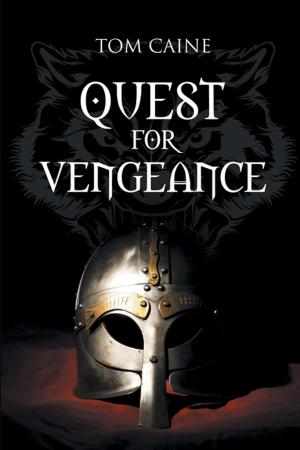 bigCover of the book Quest for Vengeance by 