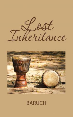 Cover of the book Lost Inheritance by Daniel Sykes