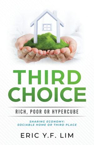 Cover of the book Third Choice by Mariam Al Qudsi