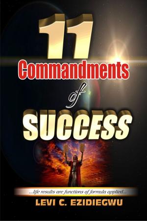 Cover of the book 11 Commandments of Success by Cynthia Zaitz Ph.D., Aimon Ott