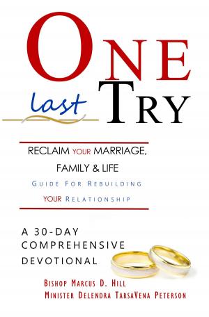 Cover of the book One Last Try by Adam Altman