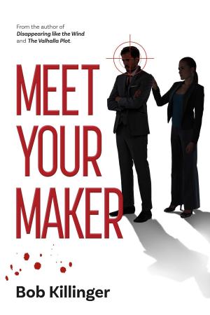 Cover of the book Meet Your Maker by D. J. Bershaw