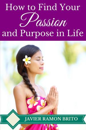 Cover of the book How to Find Your Passion and Purpose in Life by Robert Peterson