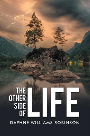 Cover of the book The Other Side of Life by Etienne de Mendes