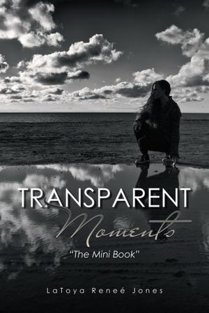 Cover of the book Transparent Moments by Phuong Nguyen
