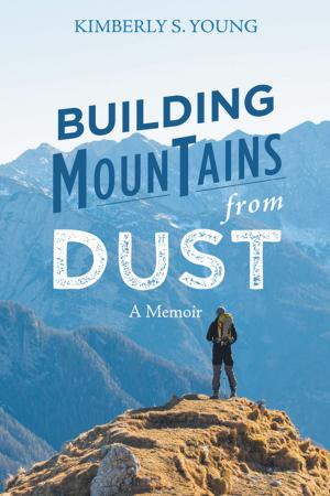 Book cover of Building Mountains from Dust