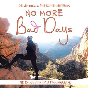 Cover of the book No More Bad Days by Frosty Wooldridge
