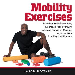 Cover of the book Mobility Exercises by Daniel Carroll