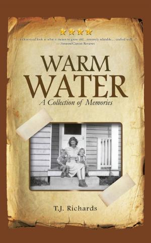 Cover of the book Warm Water by Gaylier Nowling Miller
