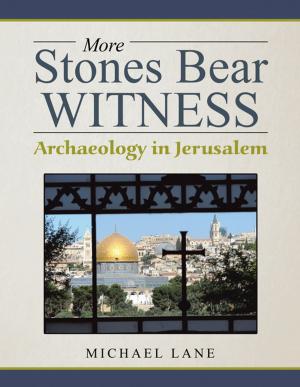 Cover of the book More Stones Bear Witness by JOHN L. ARNOTT