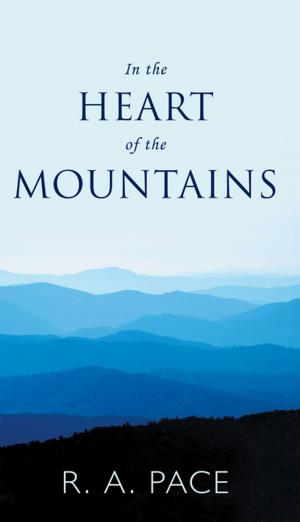 Cover of the book In the Heart of the Mountains by George D. King