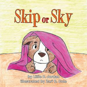 Cover of the book Skip or Sky by Dee Dee Peachey