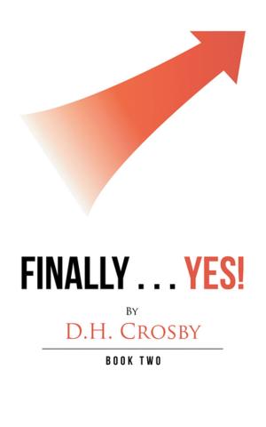 Book cover of Finally . . . Yes!