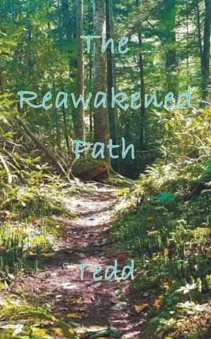 Cover of the book The Reawakened Path by Teresa Peirce Williston