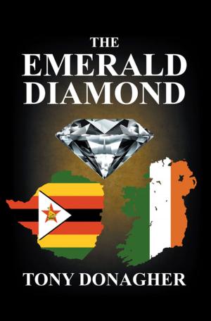 Cover of the book The Emerald Diamond by Jonathan Musvosvi