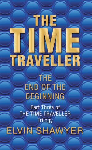 Cover of the book The Time Traveller by Crystal Y. Holt