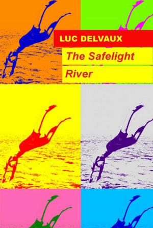Cover of the book The Safelight River by Nicole Evans