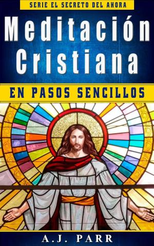 Book cover of Meditación cristiana en pasos sencillos