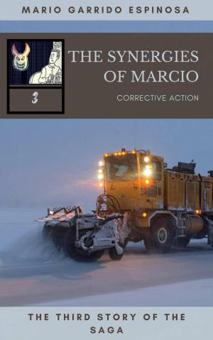 Cover of the book The synergies of Marcio 3: Corrective actions by Katrina Kahler