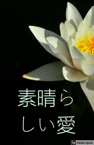 Cover of the book 素晴らしい愛 by Scott S. F. Meaker