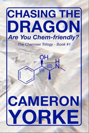 Cover of the book Chasing the Dragon - Are You Chem-friendly? by Noel Bodenmiller