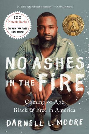 Cover of the book No Ashes in the Fire by Angie nicholls
