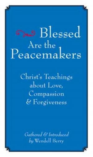 Book cover of Blessed Are the Peacemakers