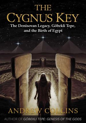 Book cover of The Cygnus Key