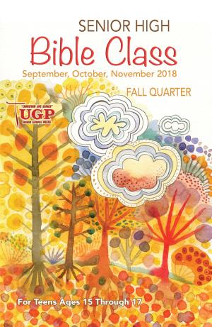 Cover of Senior High Bible Class