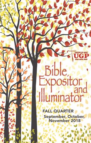 bigCover of the book Bible Expositor and Illuminator by 