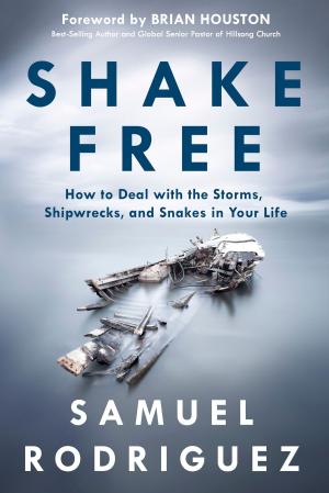 Cover of the book Shake Free by Becky Thompson