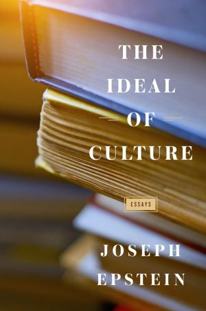 Cover of the book The Ideal of Culture by Hunter Lewis