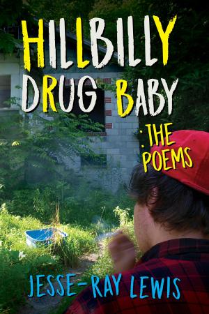 Book cover of Hillbilly Drug Baby: The Poems