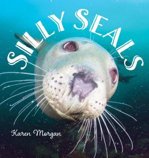 Cover of the book Silly Seals by Meg Wolff
