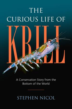 Cover of the book The Curious Life of Krill by J. Michael Scott