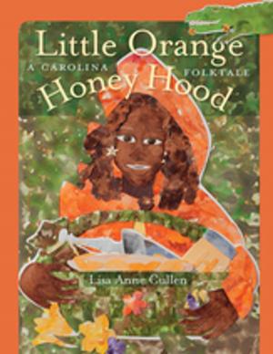 Book cover of Little Orange Honey Hood
