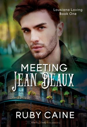 Cover of the book Meeting Jean Deaux by Cerise Noble