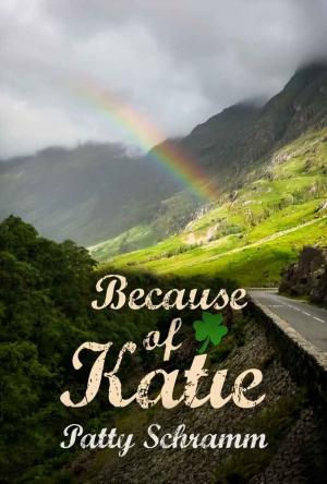 Cover of the book Because of Katie by J.S. Frankel
