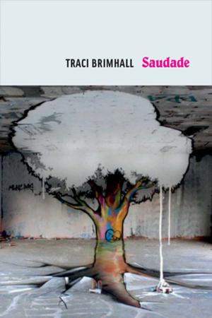 Cover of the book Saudade by Arthur Sze