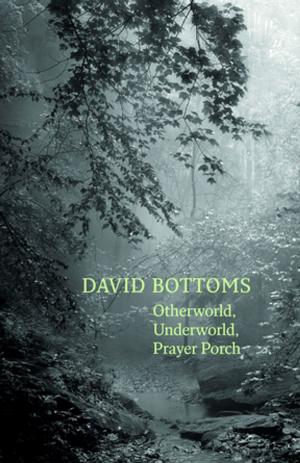 Cover of the book Otherworld, Underworld, Prayer Porch by Michael Dickman
