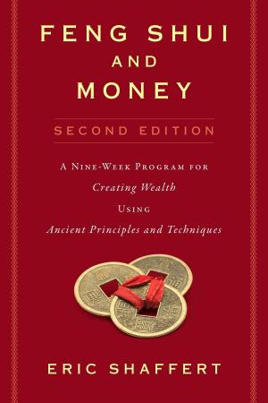 Cover of the book Feng Shui and Money by Steven Heller