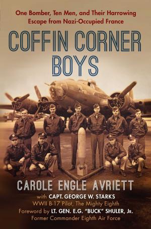 Cover of the book Coffin Corner Boys by Robin Hutton
