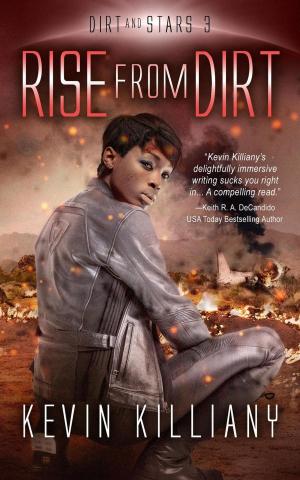 Cover of the book Rise from Dirt by Majanka Verstraete