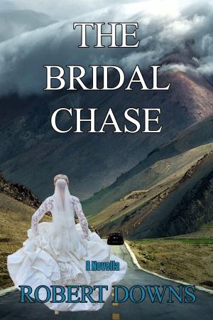 Cover of the book The Bridal Chase by Elly Molina