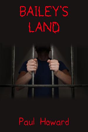 Cover of the book Bailey's Land by Adi Tantimedh